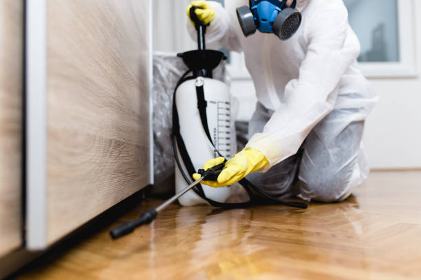 Best Pest Prevention Services  in Millersport, OH