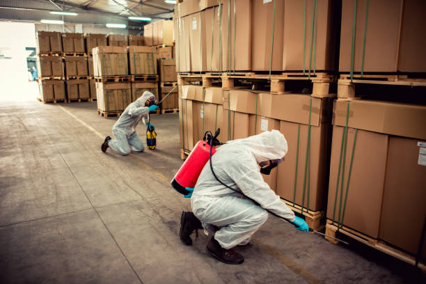 Best Flea Control Services  in Millersport, OH