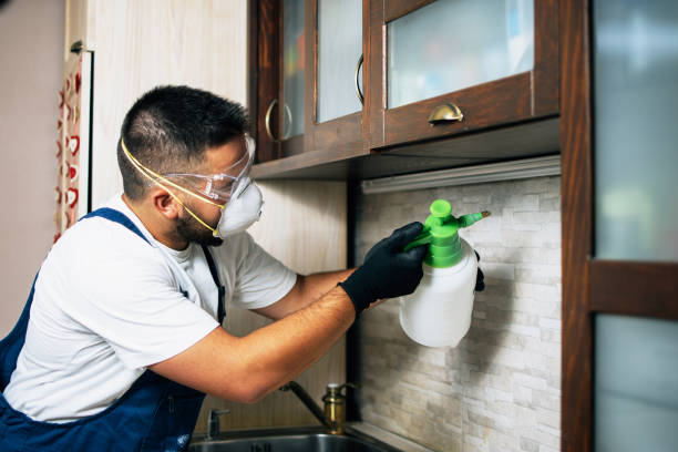 Best Wasp Removal Services  in Millersport, OH