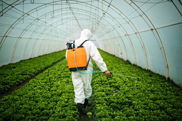 Professional Pest Control in Millersport, OH