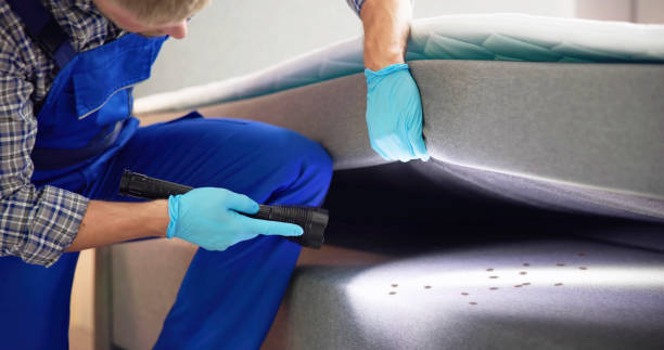 Best Residential Pest Control  in Millersport, OH