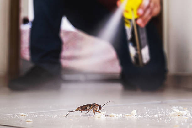 Best Wildlife Control Services  in Millersport, OH