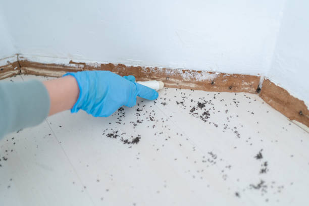 Best Pest Removal Services  in Millersport, OH